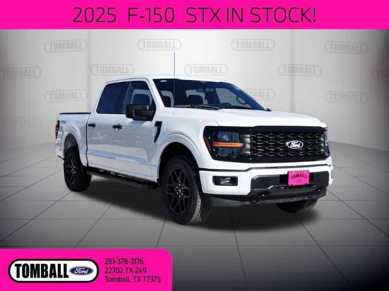 2025 Ford F-150 STX
