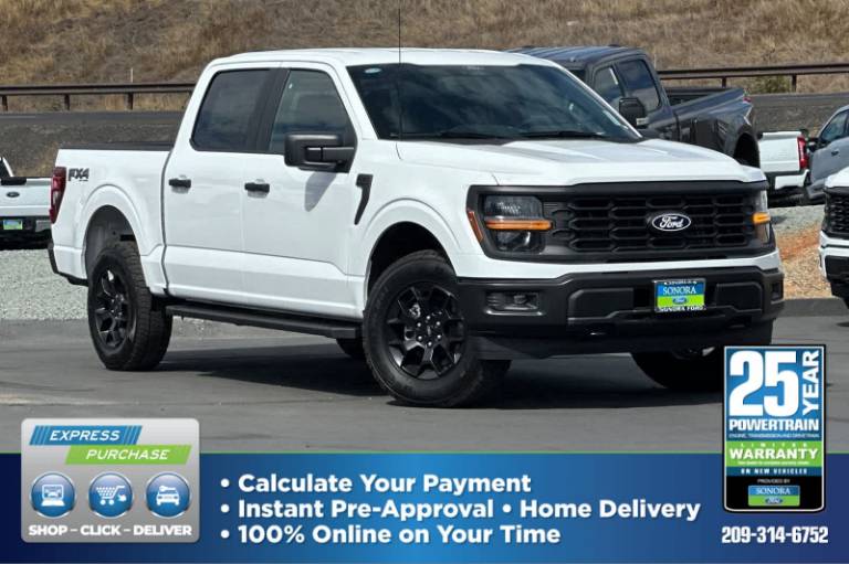 2025 Ford F-150 STX