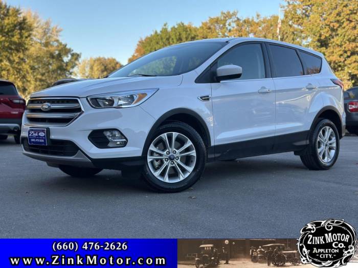 2019 Ford Escape SE