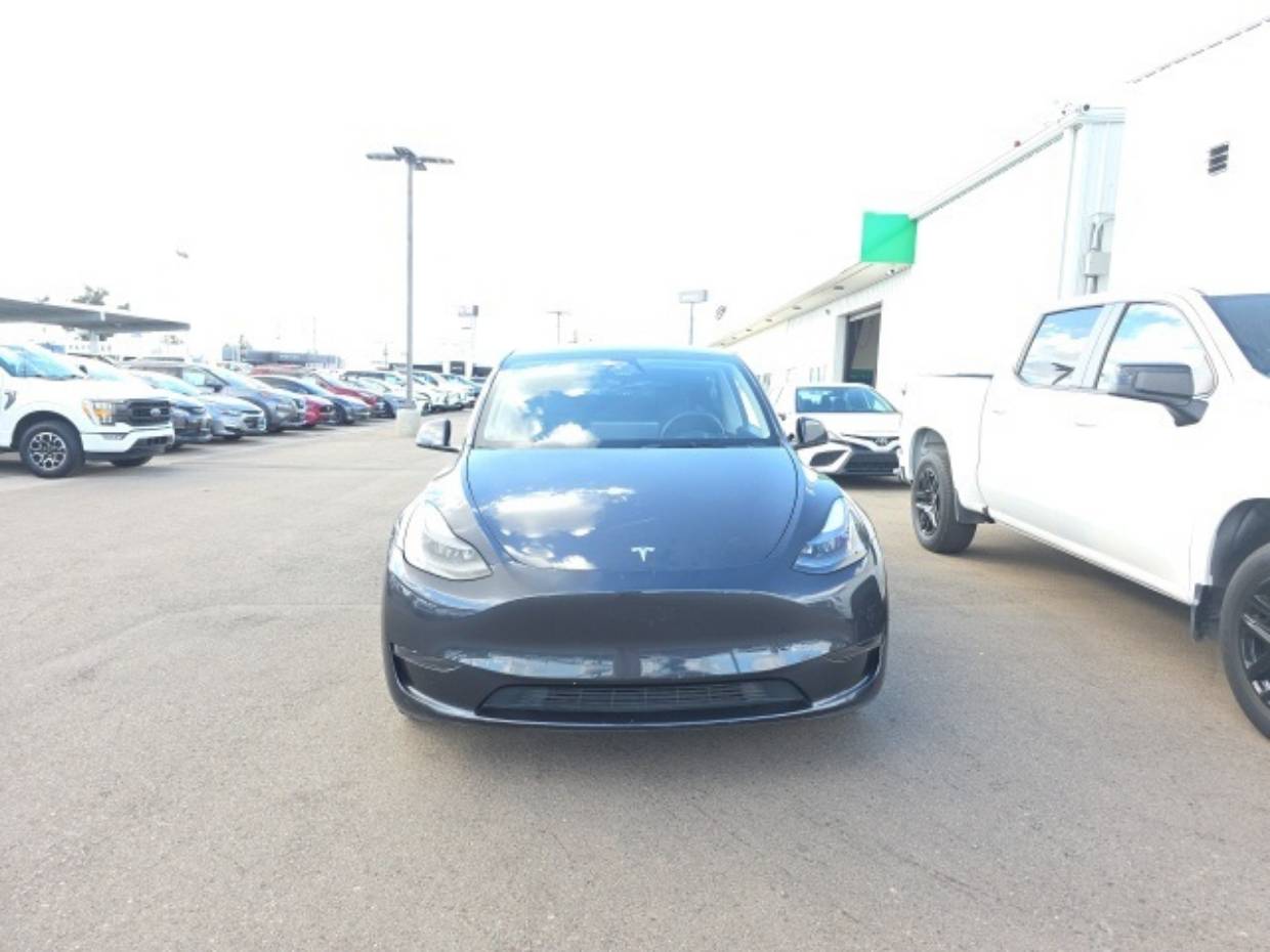 Used 2024 Tesla Model Y Long Range with VIN 7SAYGDEE0RF025931 for sale in Northfield, Minnesota