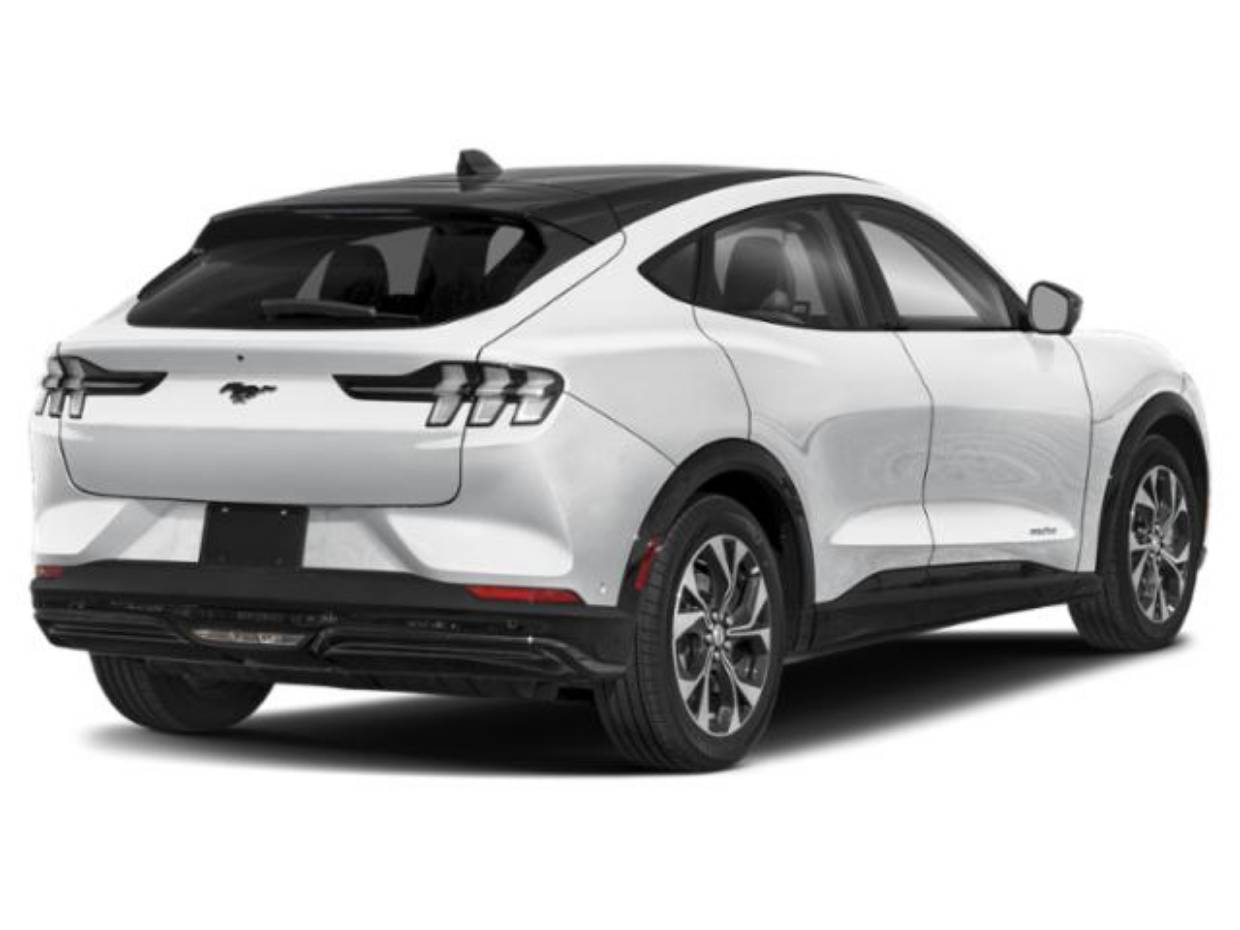 Used 2023 Ford Mustang Mach-E Premium AWD with VIN 3FMTK3SU6PMA55452 for sale in Edgewood, NM