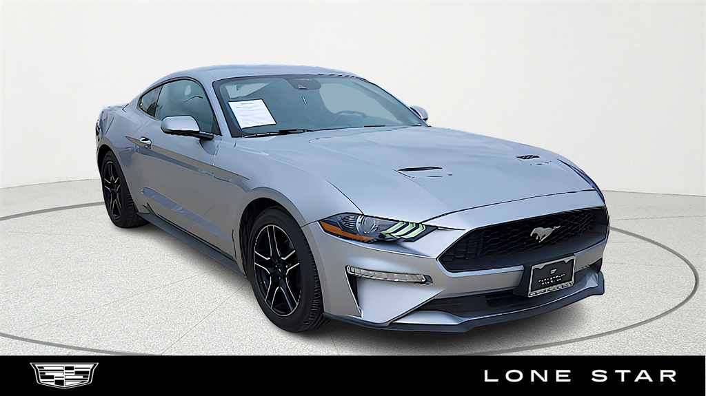 2023 Ford Mustang EcoBoost's photo