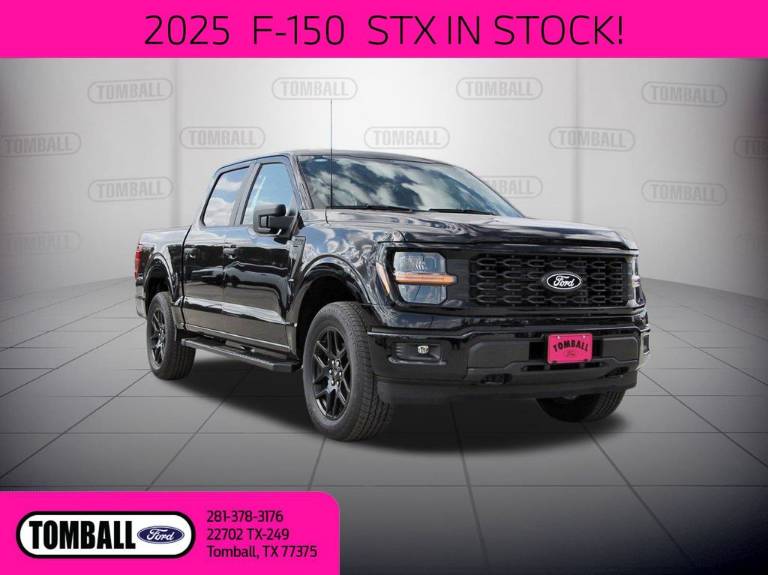 2025 Ford F-150 STX