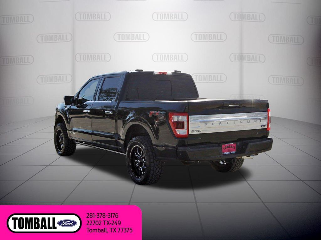 2021 Ford F-150 Platinum photo 3