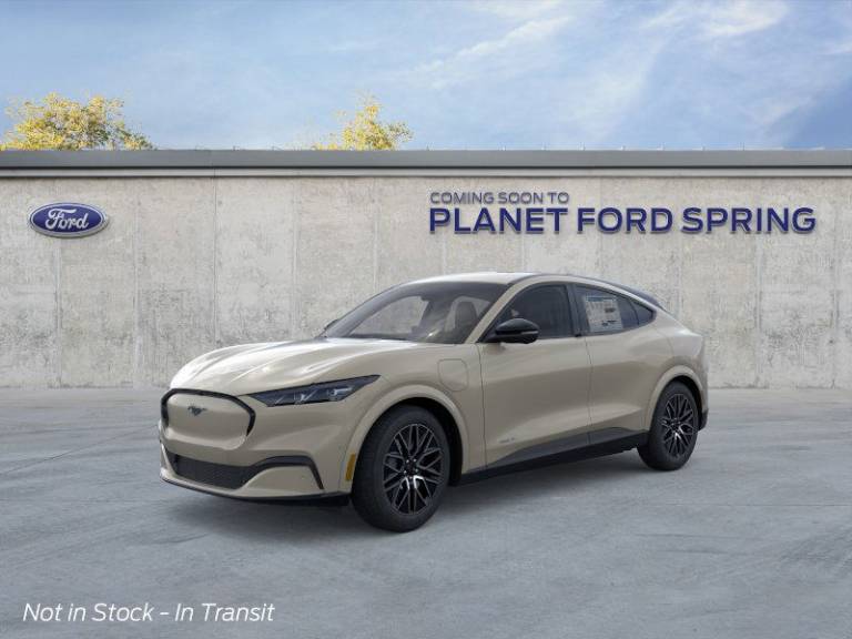 2025 Ford Mustang Mach-E Premium RWD