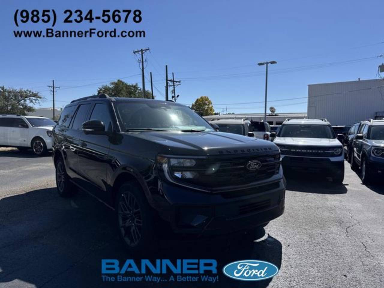 2025 Ford Expedition Platinum's photo