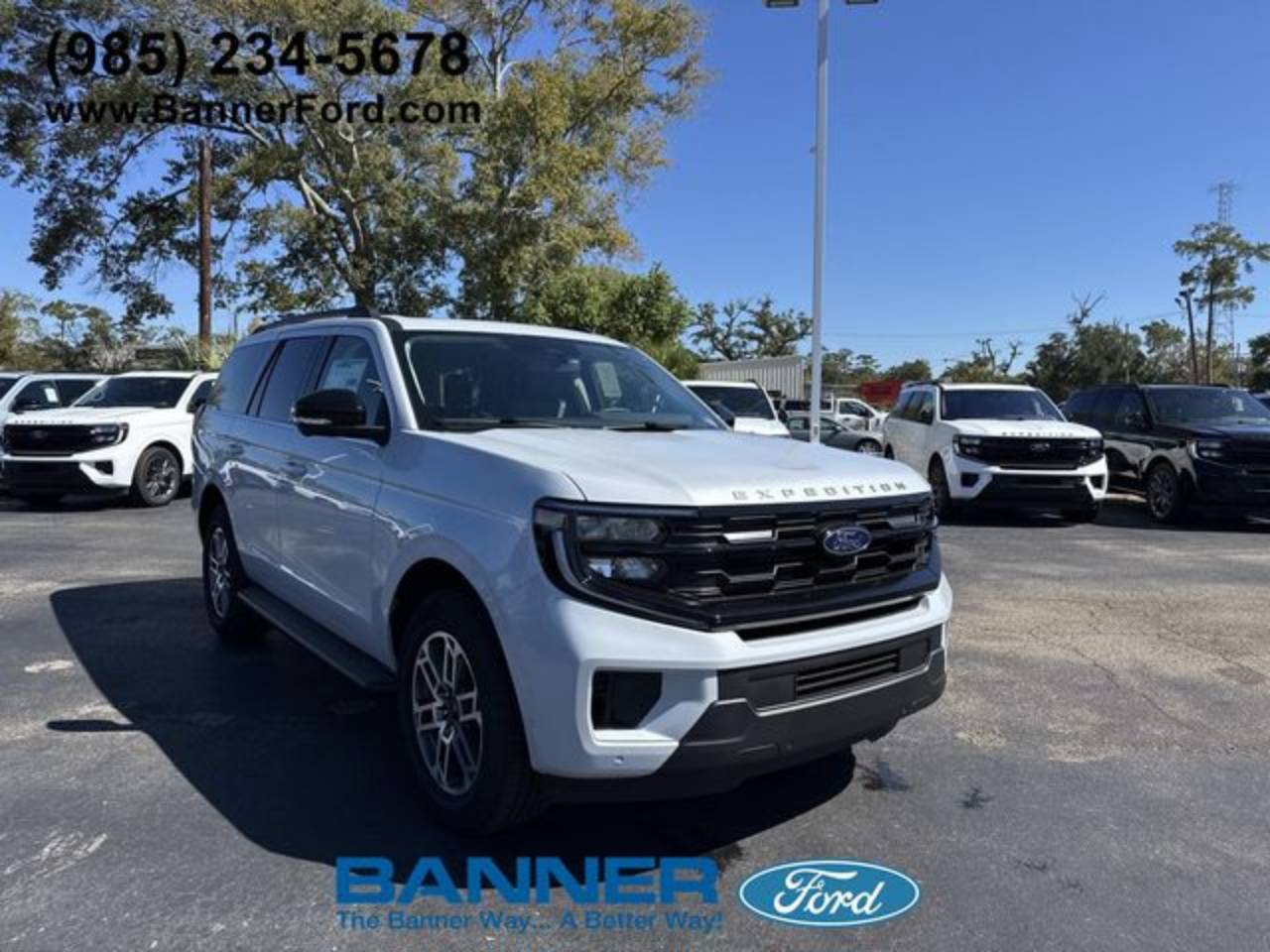 2025 Ford Expedition Active's photo