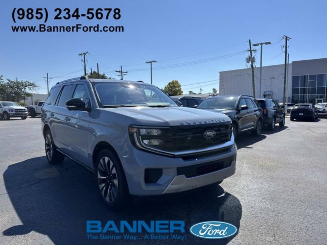 2025 Ford Expedition Platinum's photo