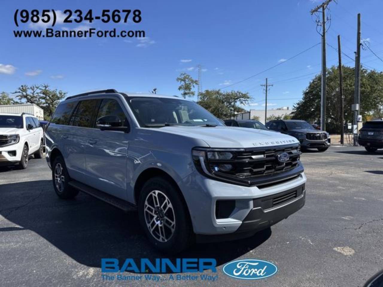 2025 Ford Expedition Active's photo