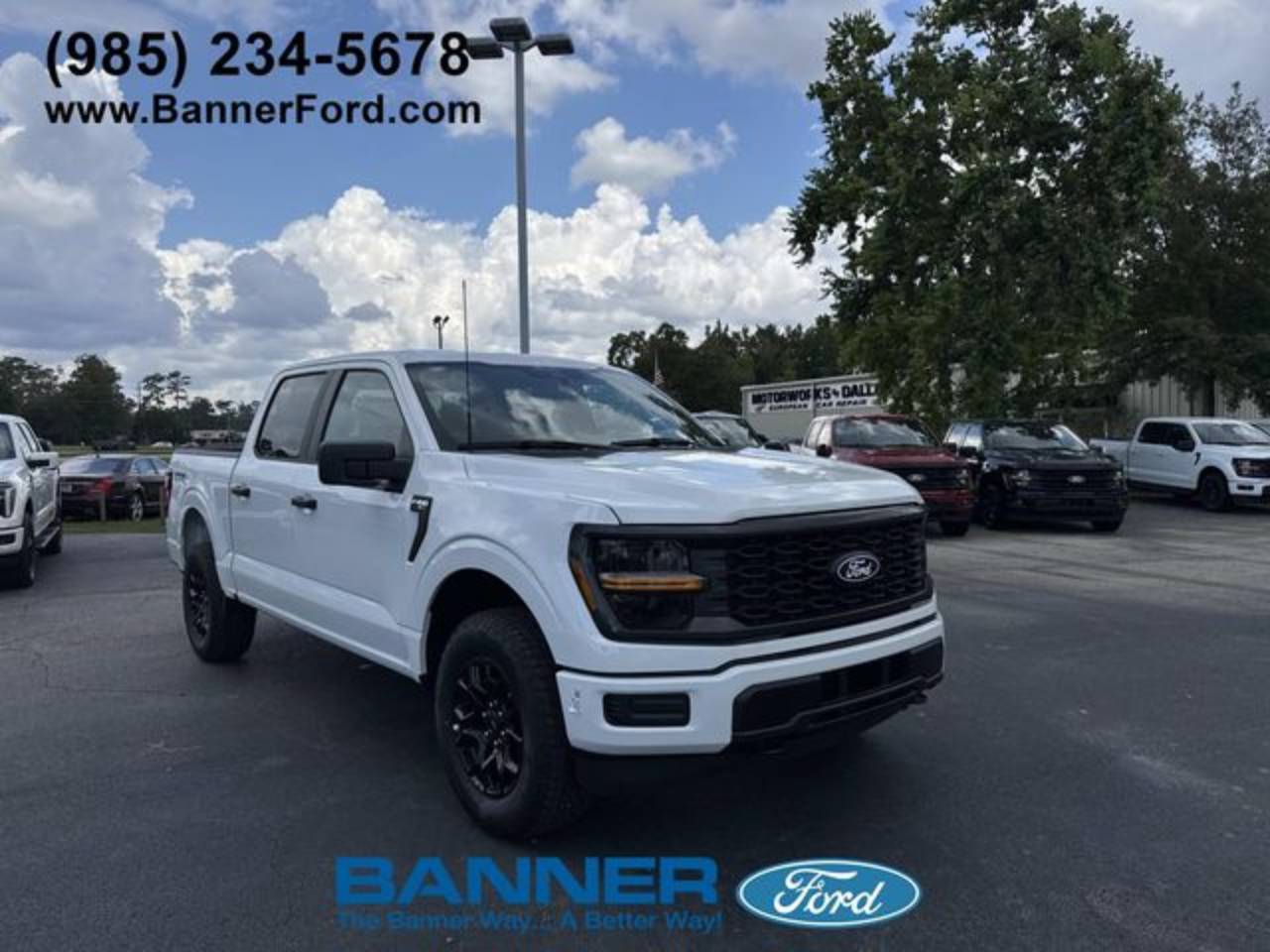 2025 Ford F-150 STX's photo