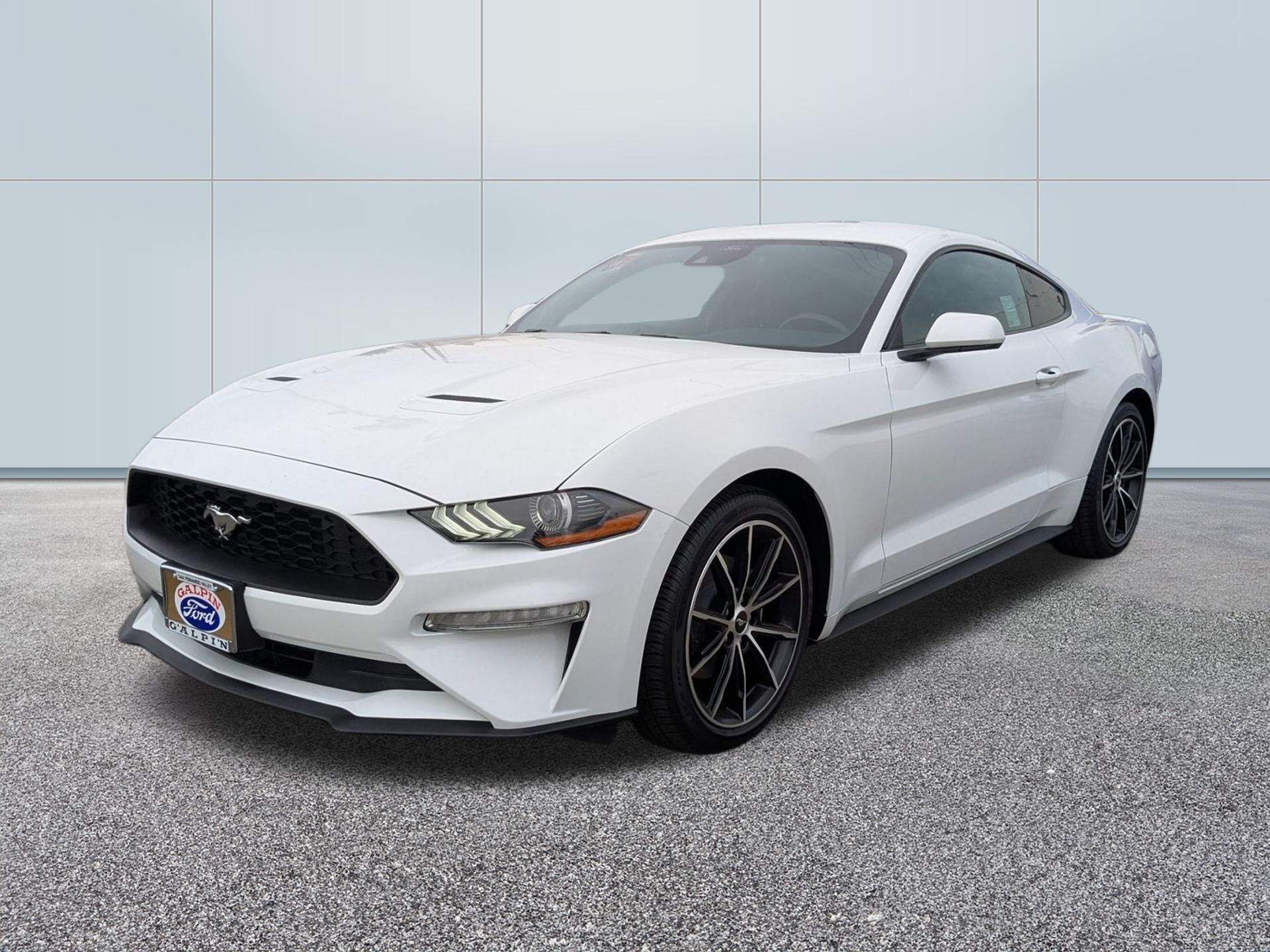 2021 Ford Mustang EcoBoost photo 4