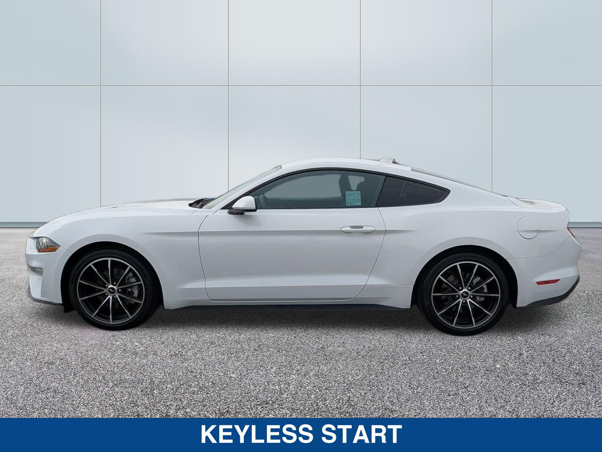 2021 Ford Mustang EcoBoost photo 2