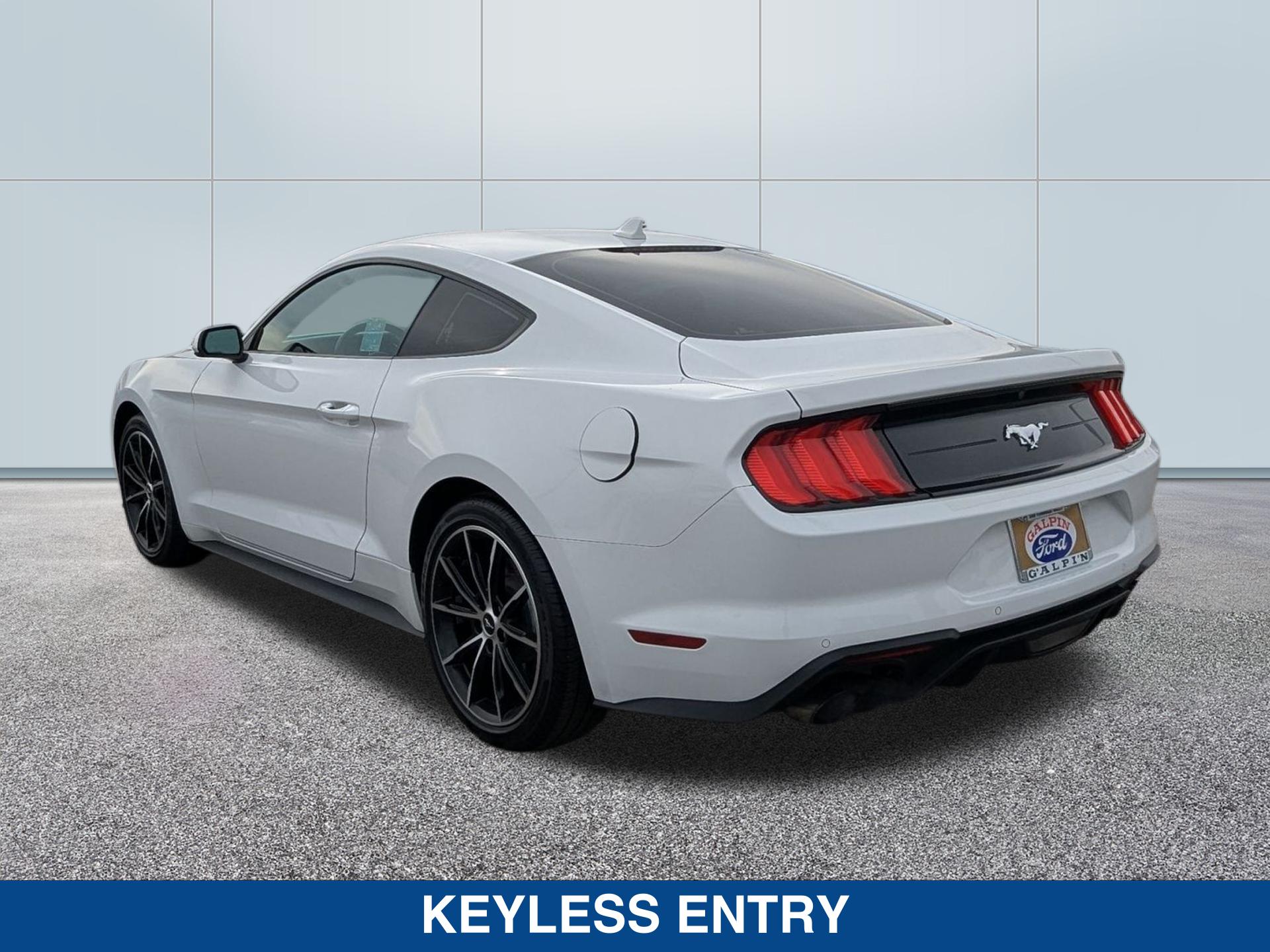 2021 Ford Mustang EcoBoost photo 3