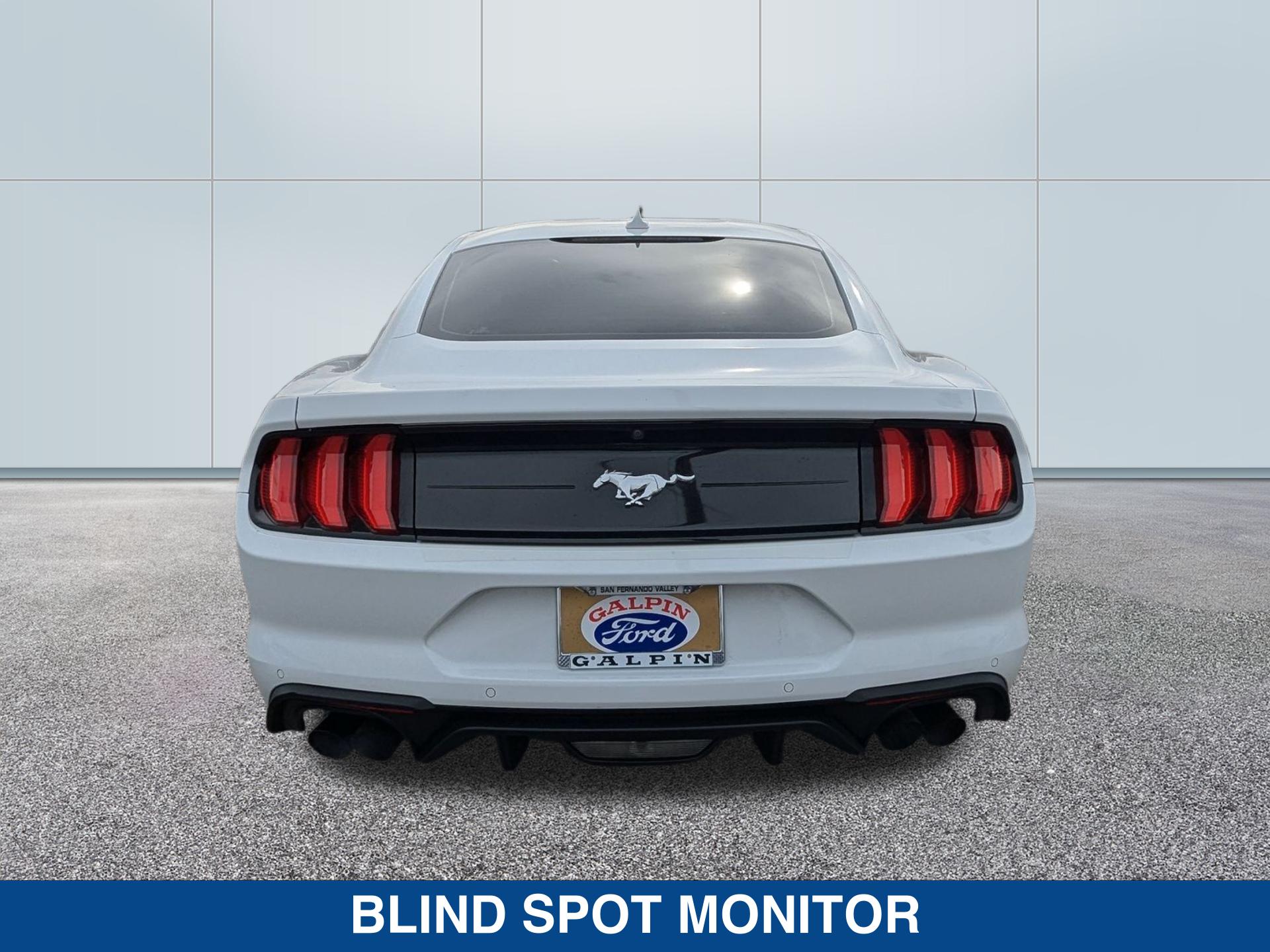 2021 Ford Mustang EcoBoost photo 4