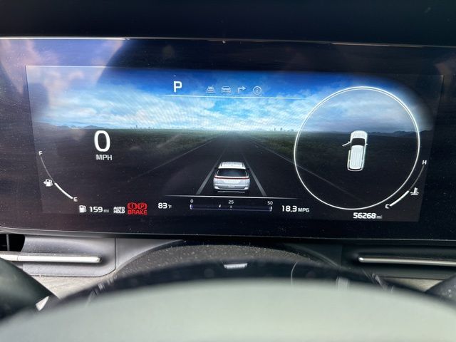 2024 Kia Carnival SX photo 3