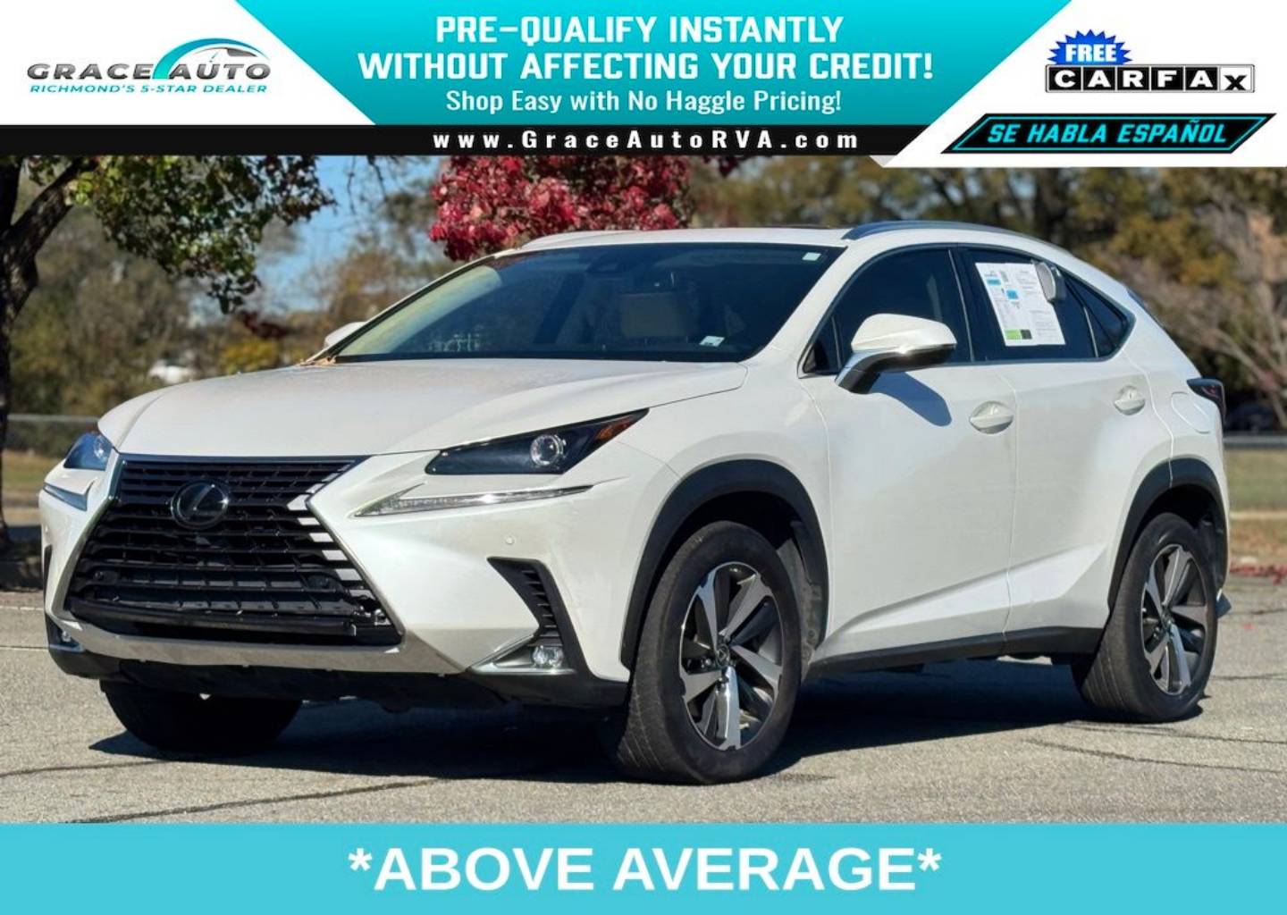 2021 Lexus NX 300's photo
