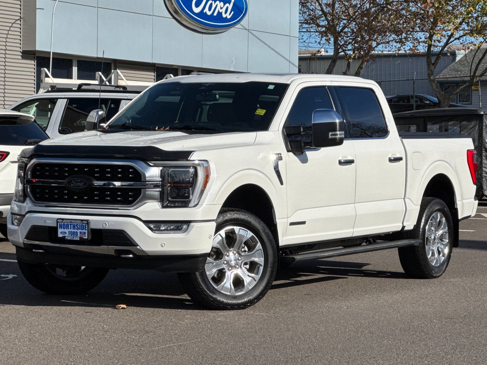 2023 Ford F-150 Platinum photo 2