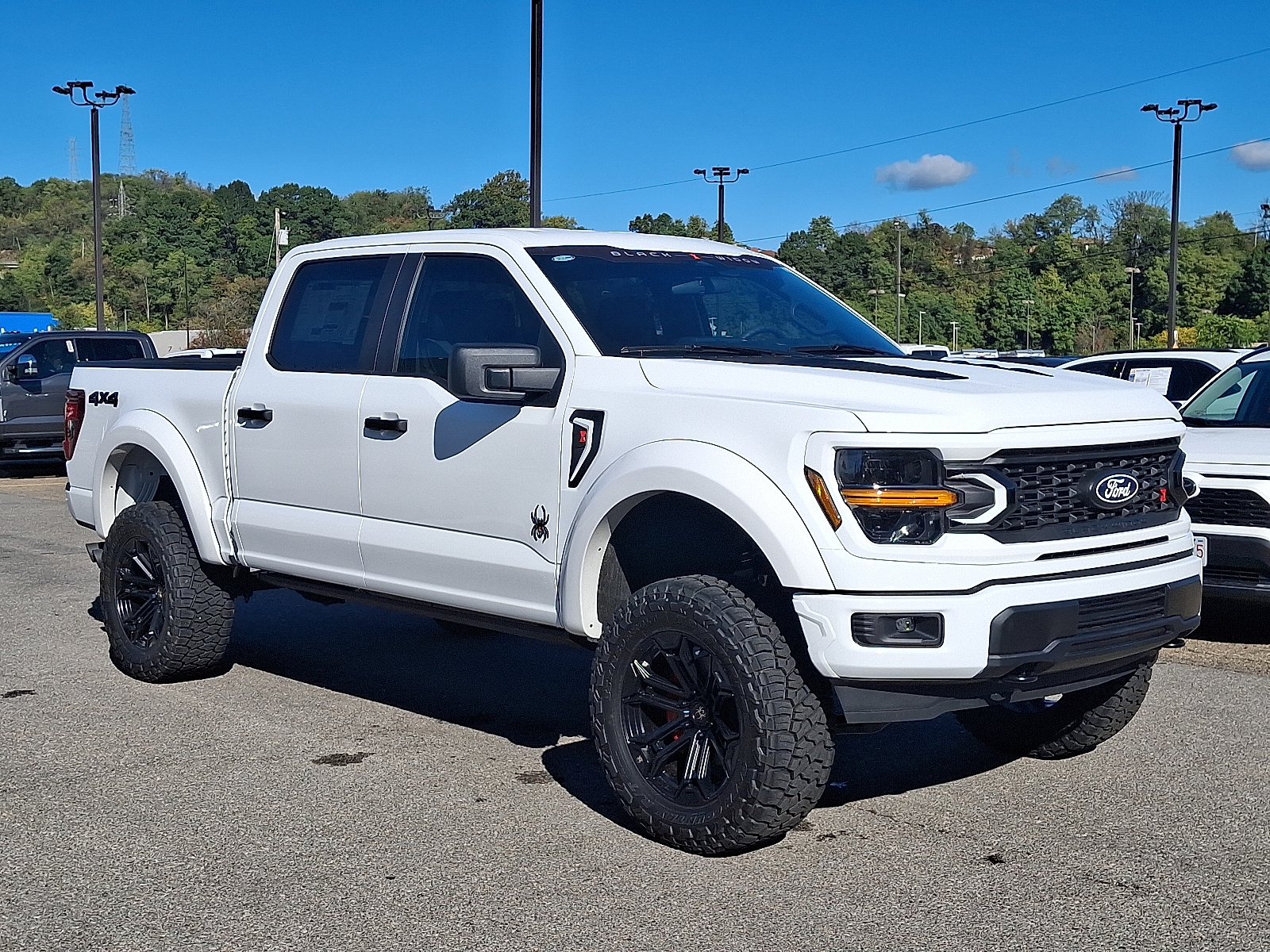 2025 Ford F-150 Black Widow STX