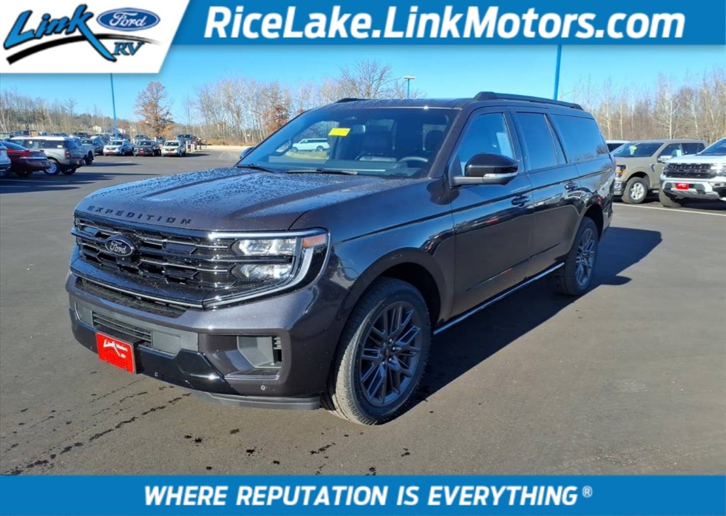 2025 Ford Expedition Platinum's photo