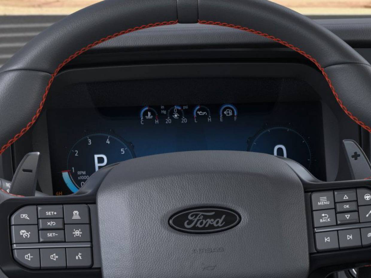2025 Ford F-150 Raptor - Photo 13