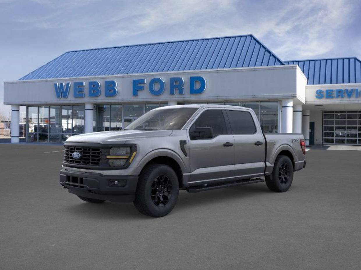 2025 Ford F-150 STX's photo