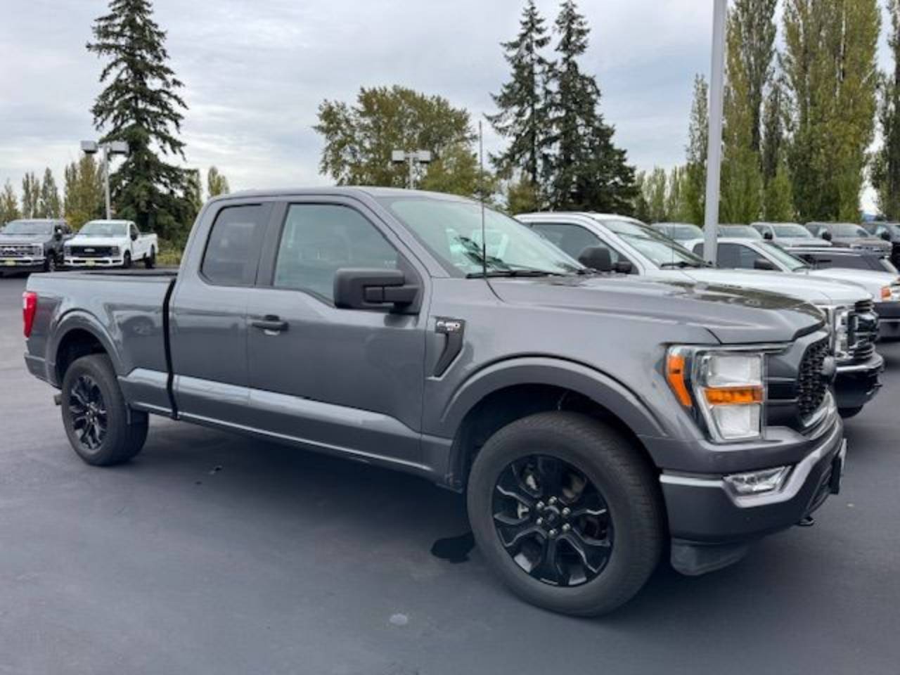 2021 Ford F-150 XL's photo