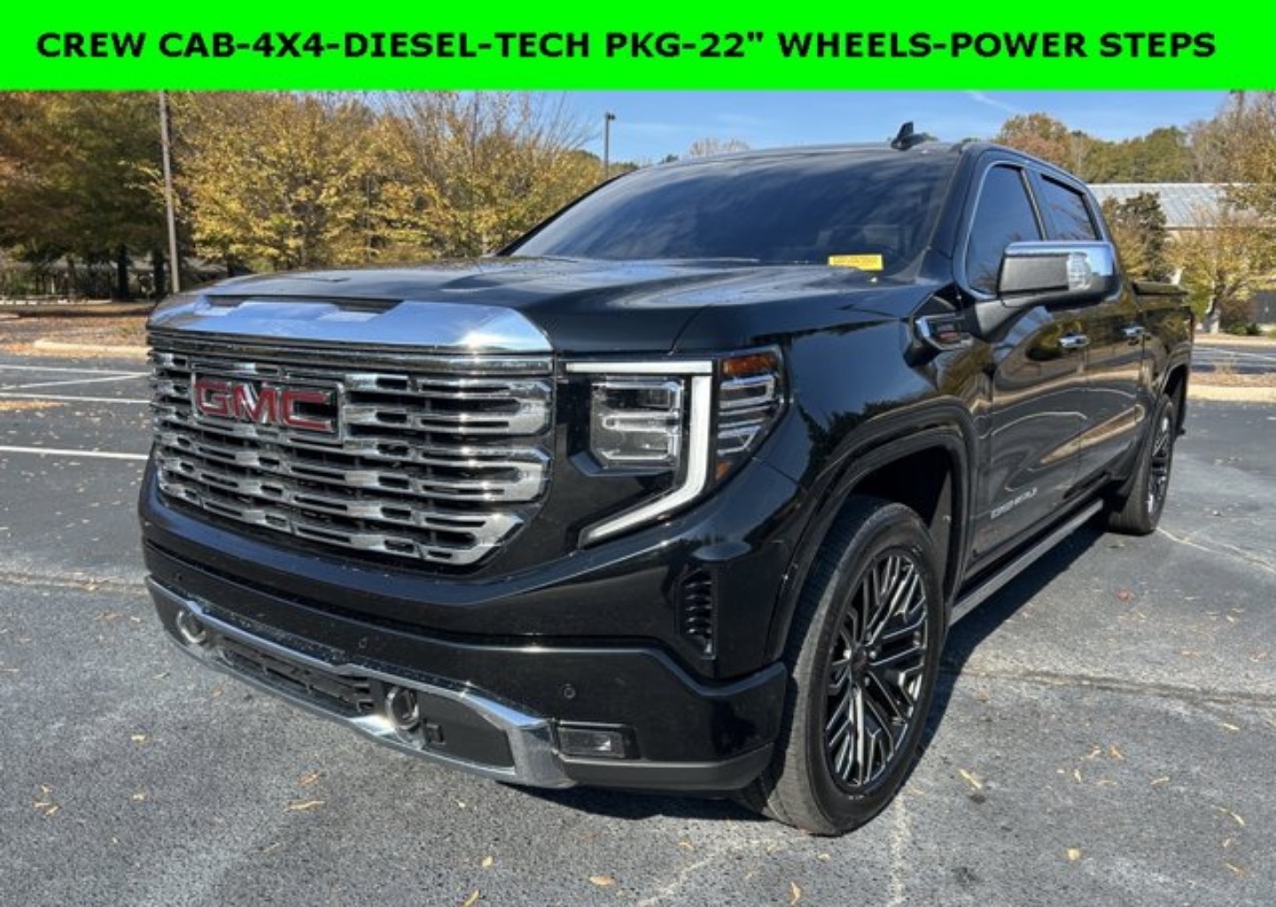 2024 GMC Sierra 1500 Denali Denali's photo