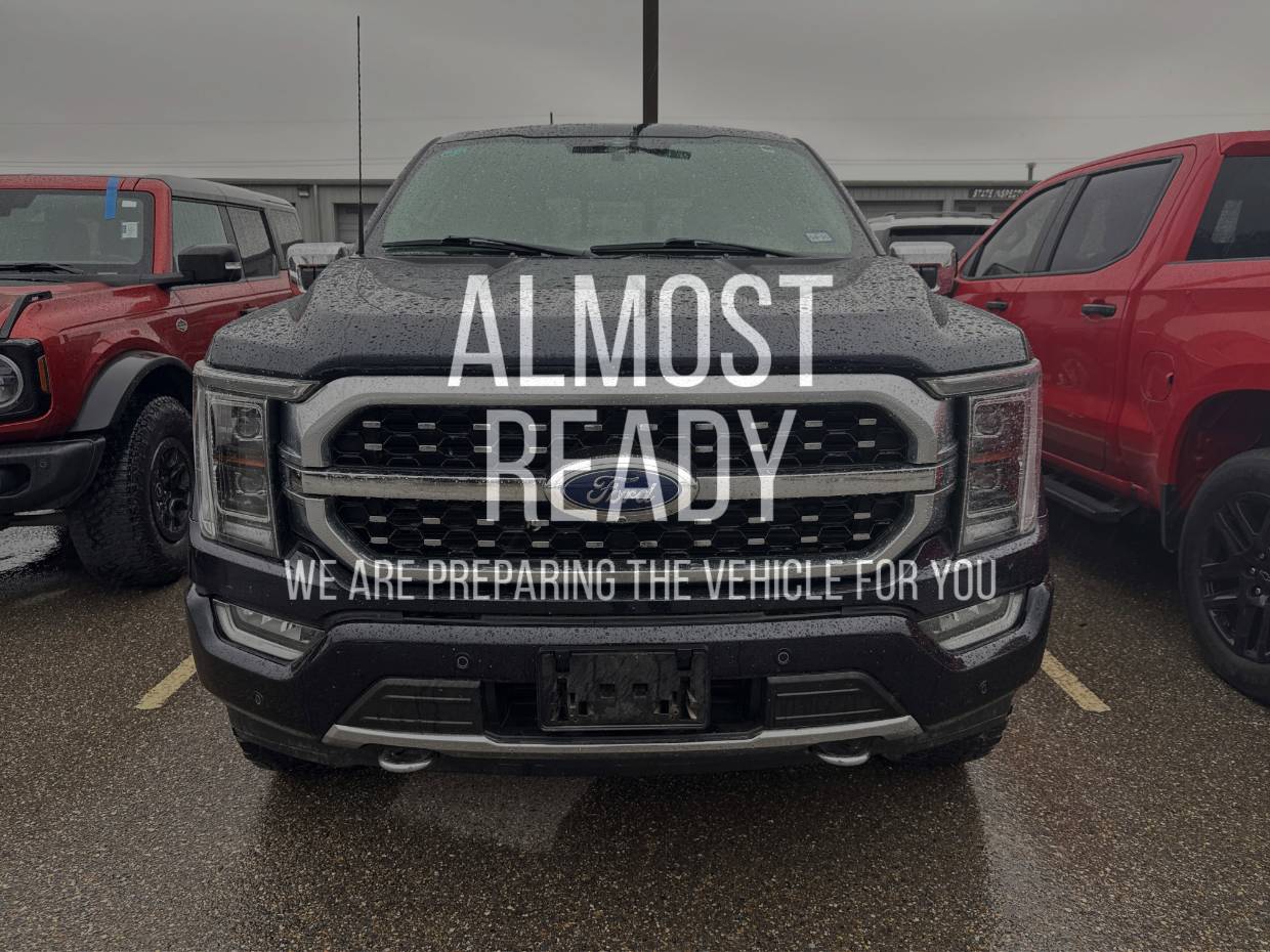 2023 Ford F-150 Platinum's photo