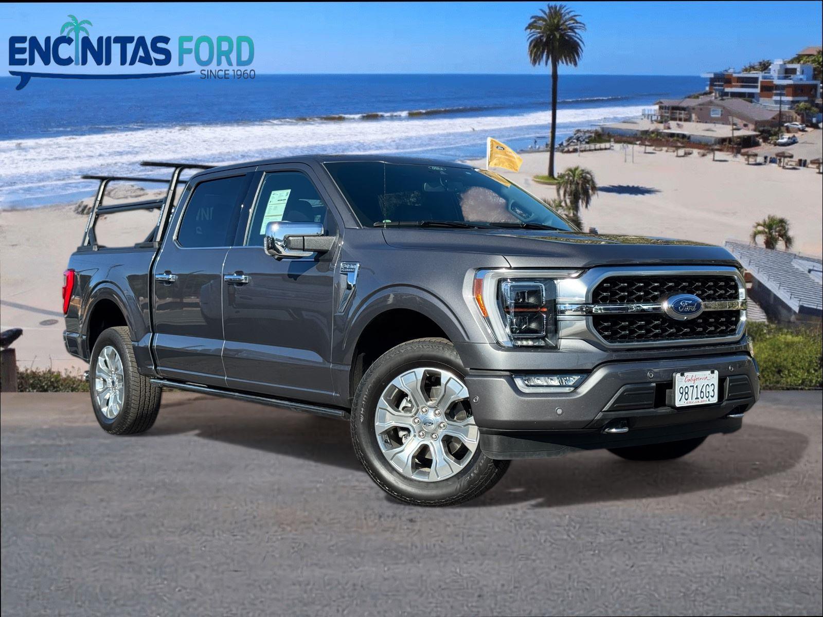 2021 Ford F-150 Platinum's photo