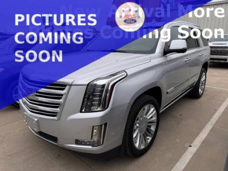 2019 Cadillac Escalade Platinum