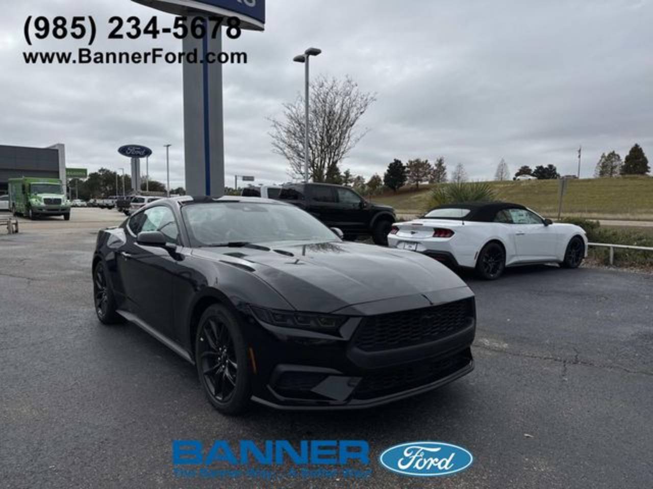 2026 Ford Mustang EcoBoost's photo