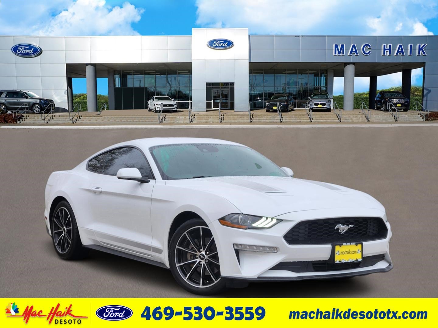 2022 Ford Mustang EcoBoost's photo