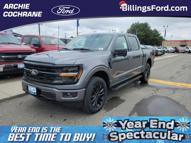 2025 Ford F-150 XLT's photo