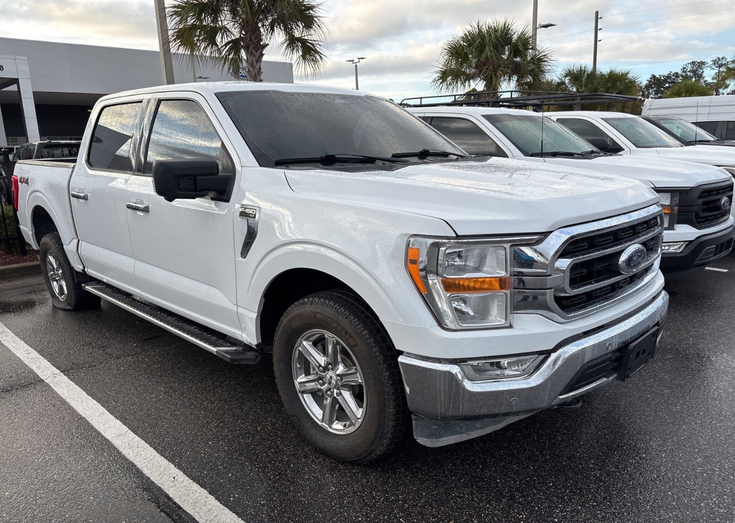 2023 Ford F-150 XLT's photo