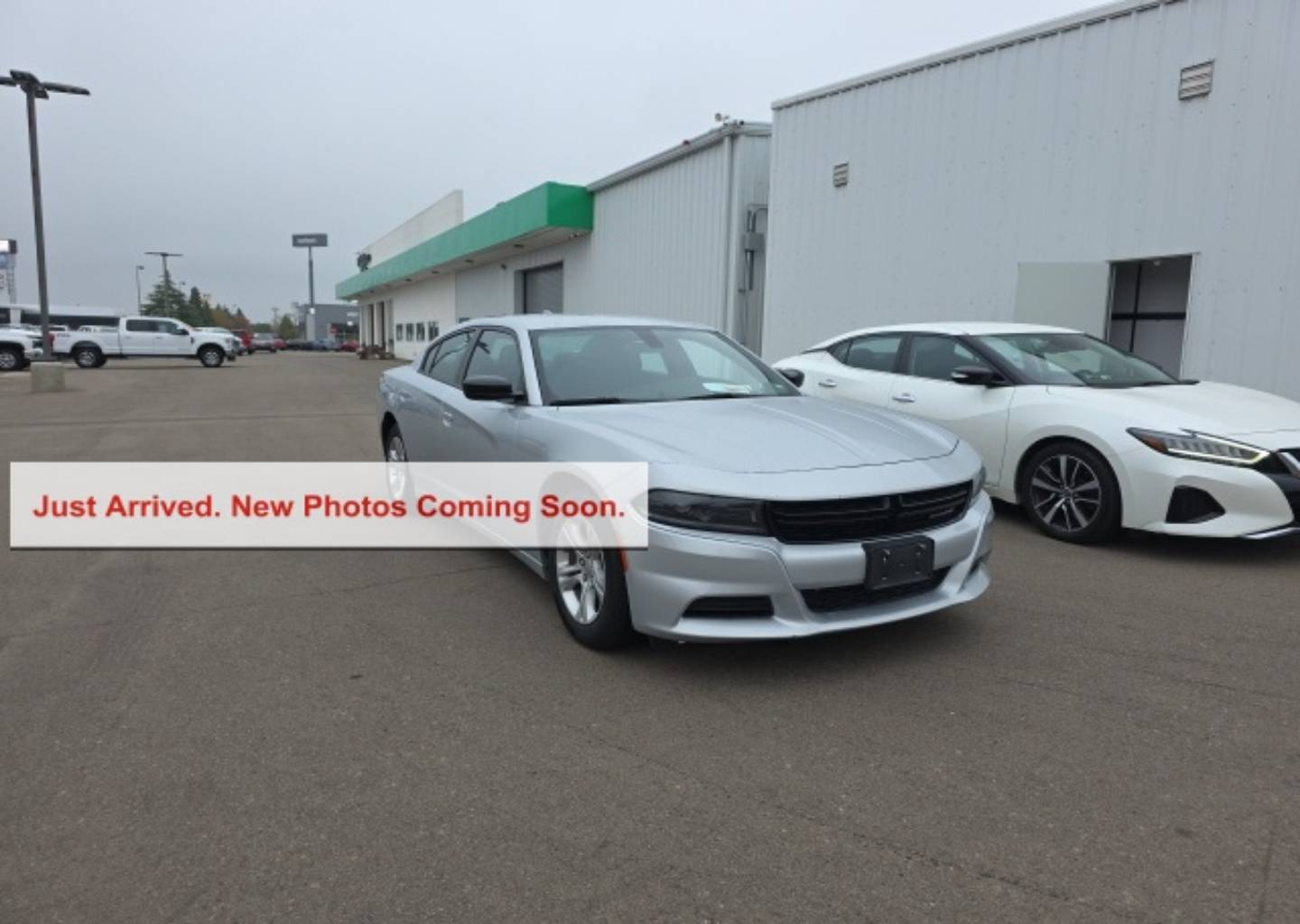 2023 Dodge Charger SXT's photo