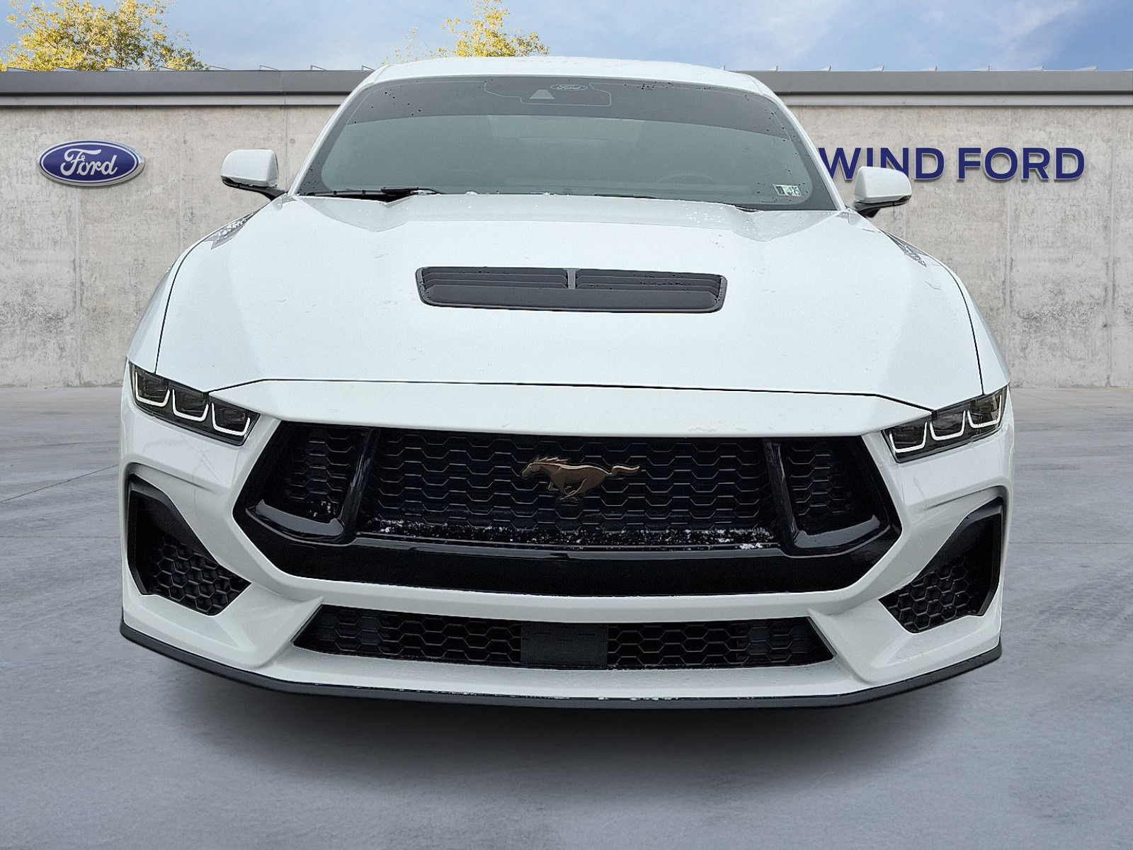 2024 Ford Mustang GT Premium photo 2