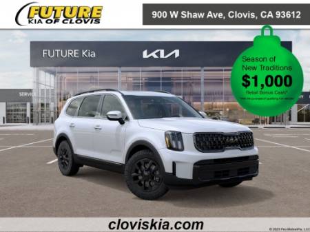2025 Kia Telluride EX X-PRO