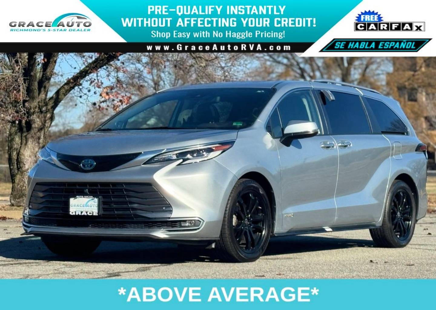 2021 Toyota Sienna Platinum's photo