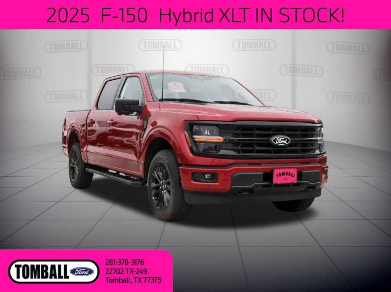 2025 Ford F-150 XLT