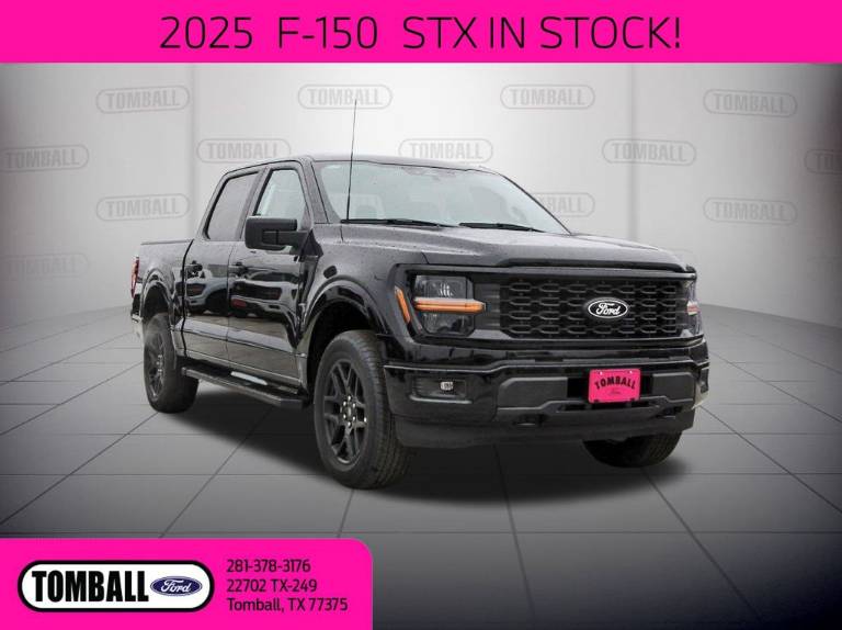 2025 Ford F-150 STX