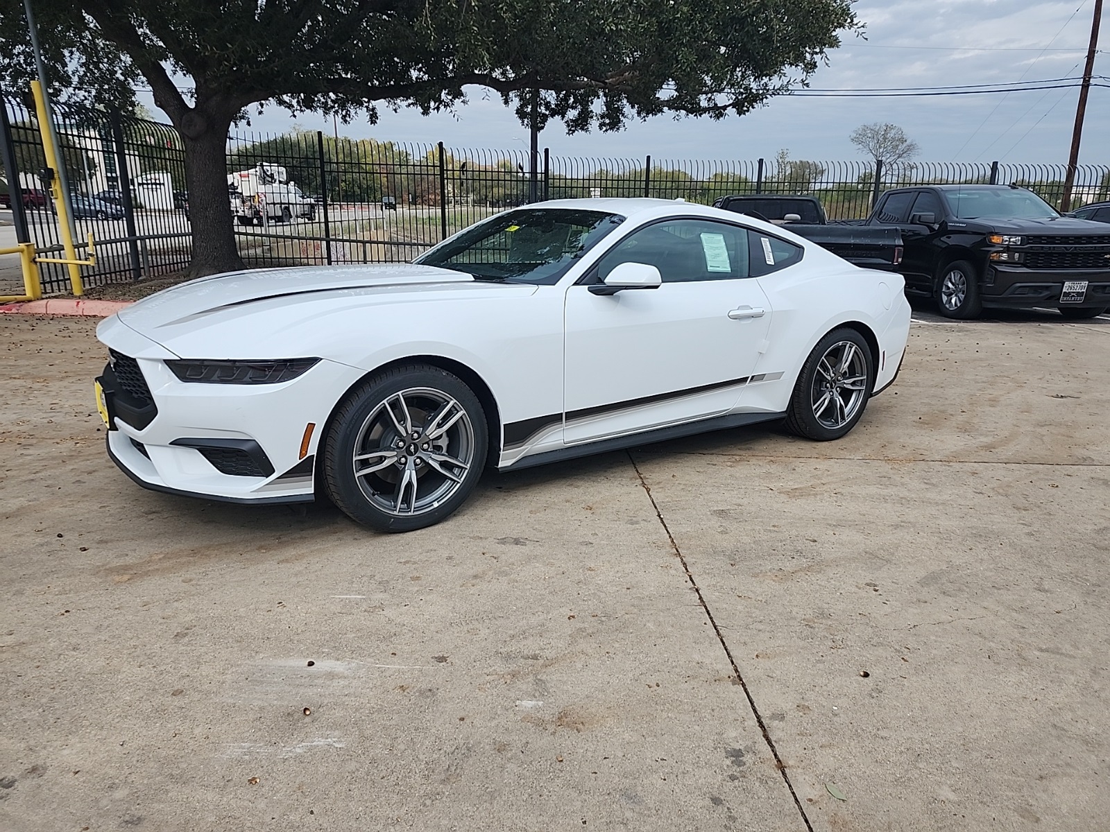 2025 Ford Mustang EcoBoost's photo