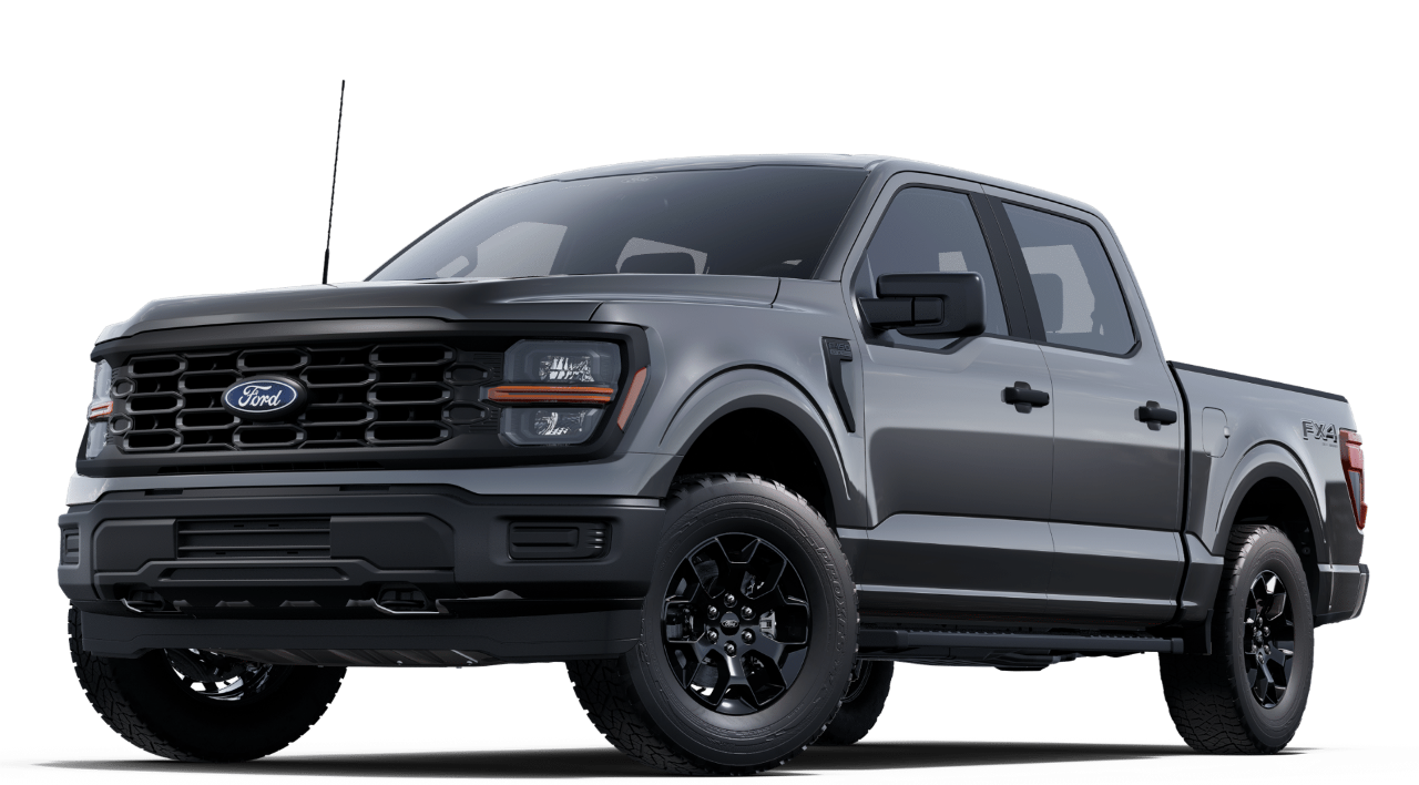 2025 Ford F-150 STX's photo