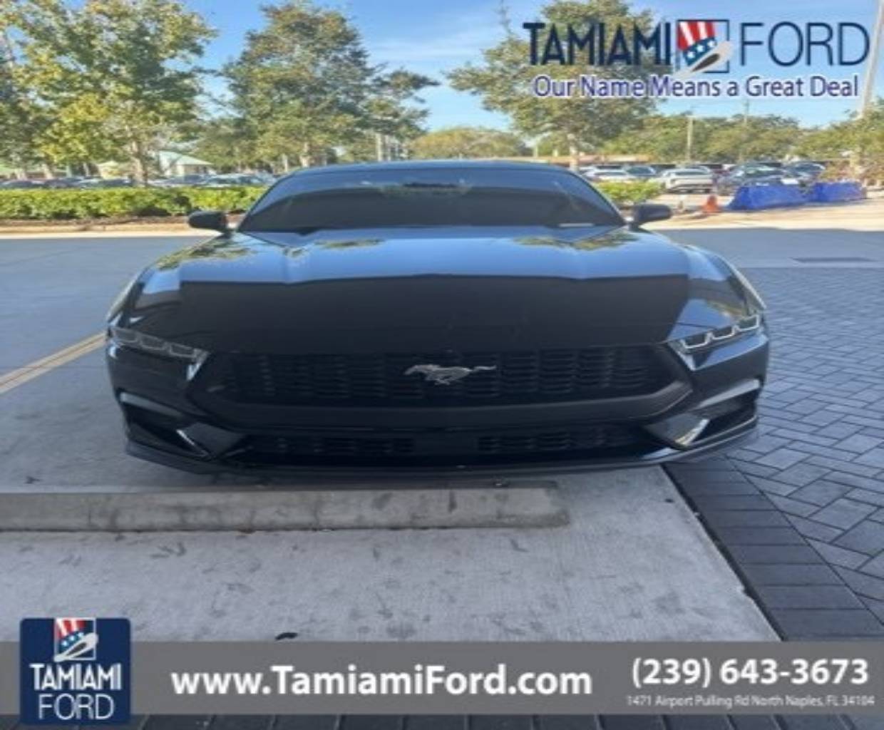 2024 Ford Mustang EcoBoost Premium's photo