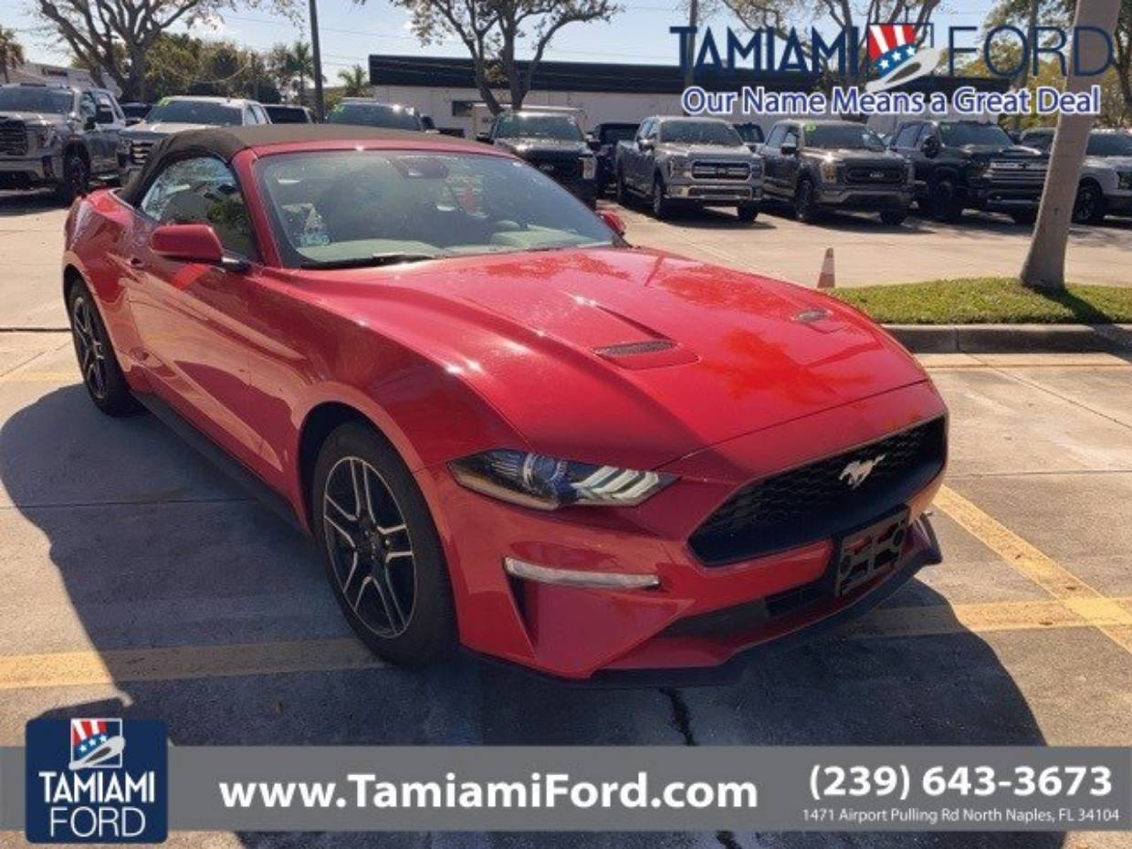 2023 Ford Mustang EcoBoost's photo