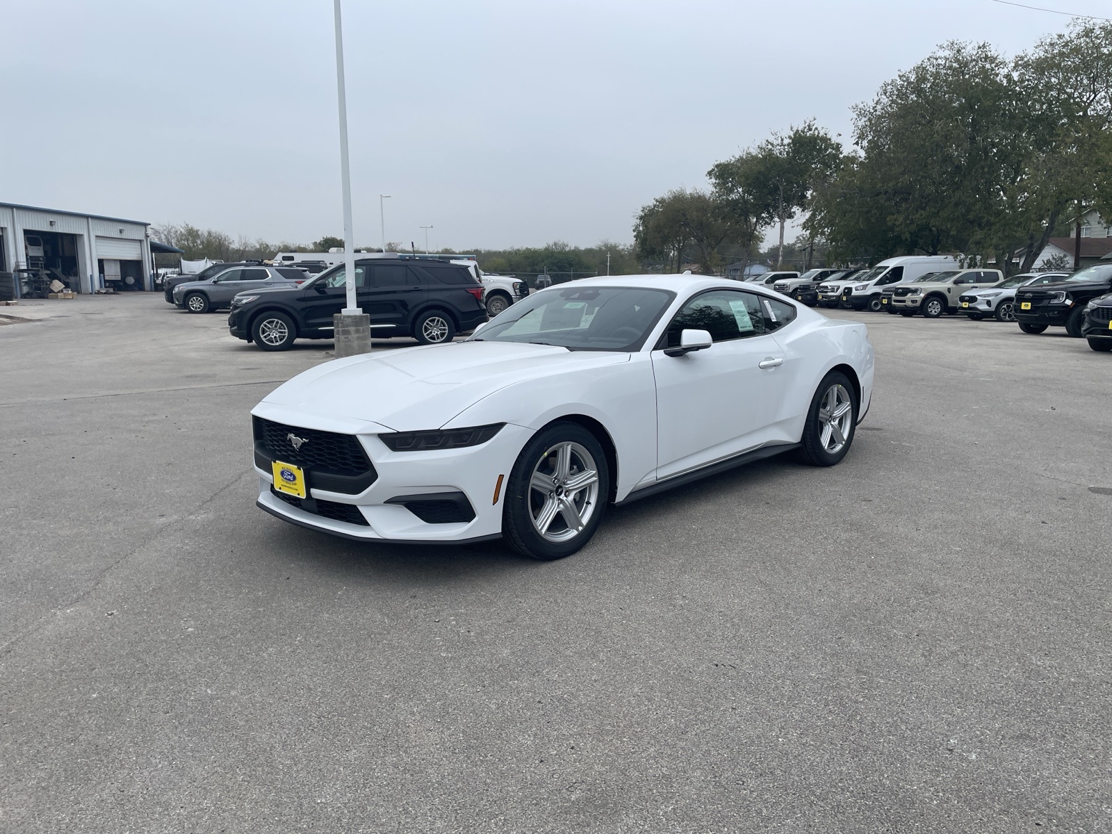 2026 Ford Mustang EcoBoost's photo