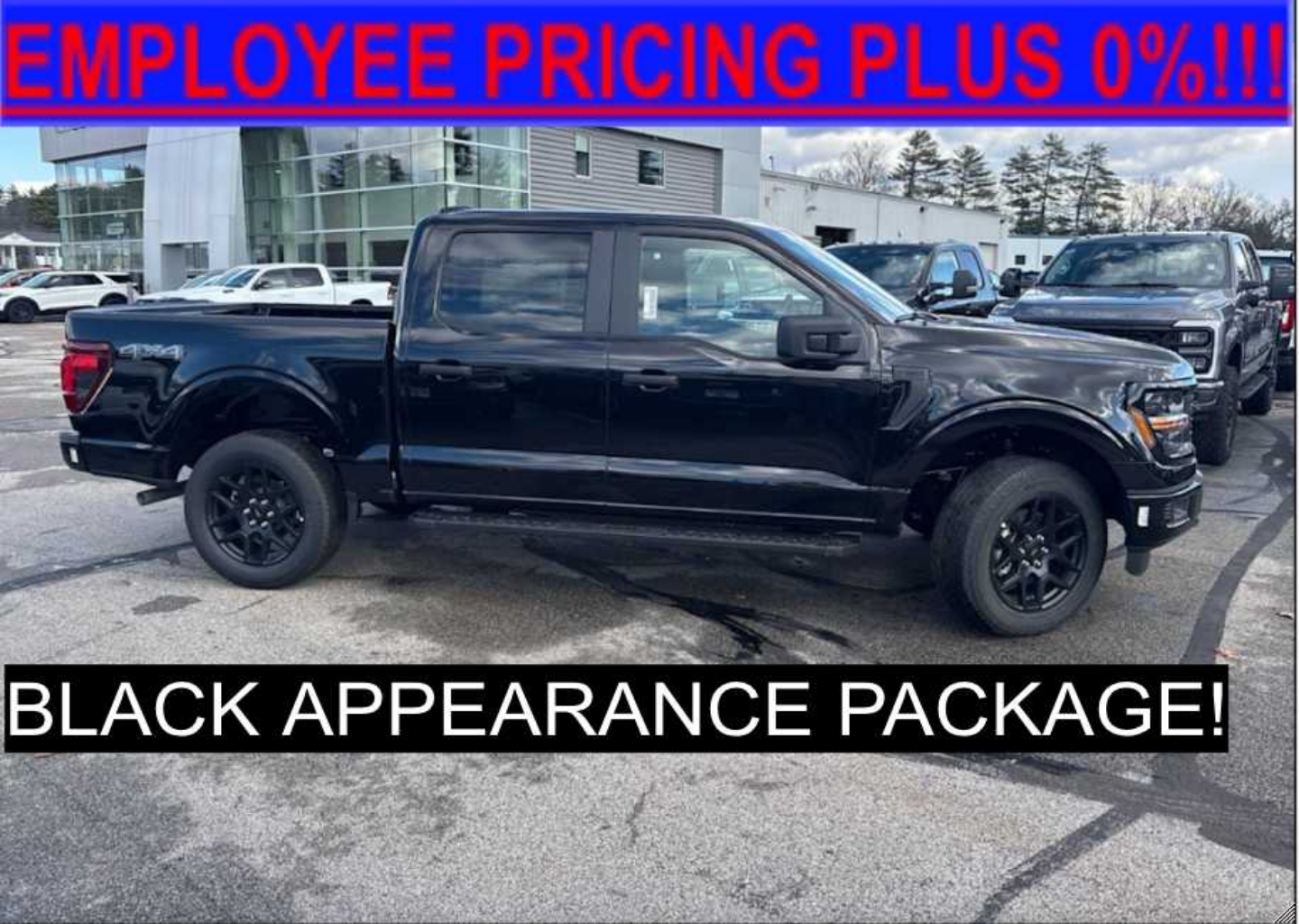 2025 Ford F-150 STX's photo