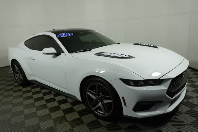 2025 Ford Mustang EcoBoost's photo