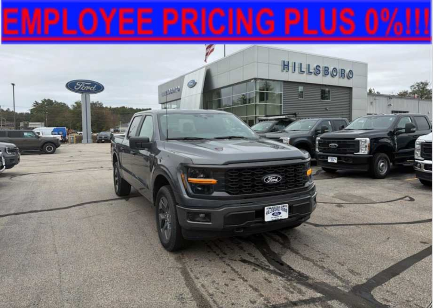 2025 Ford F-150 STX's photo