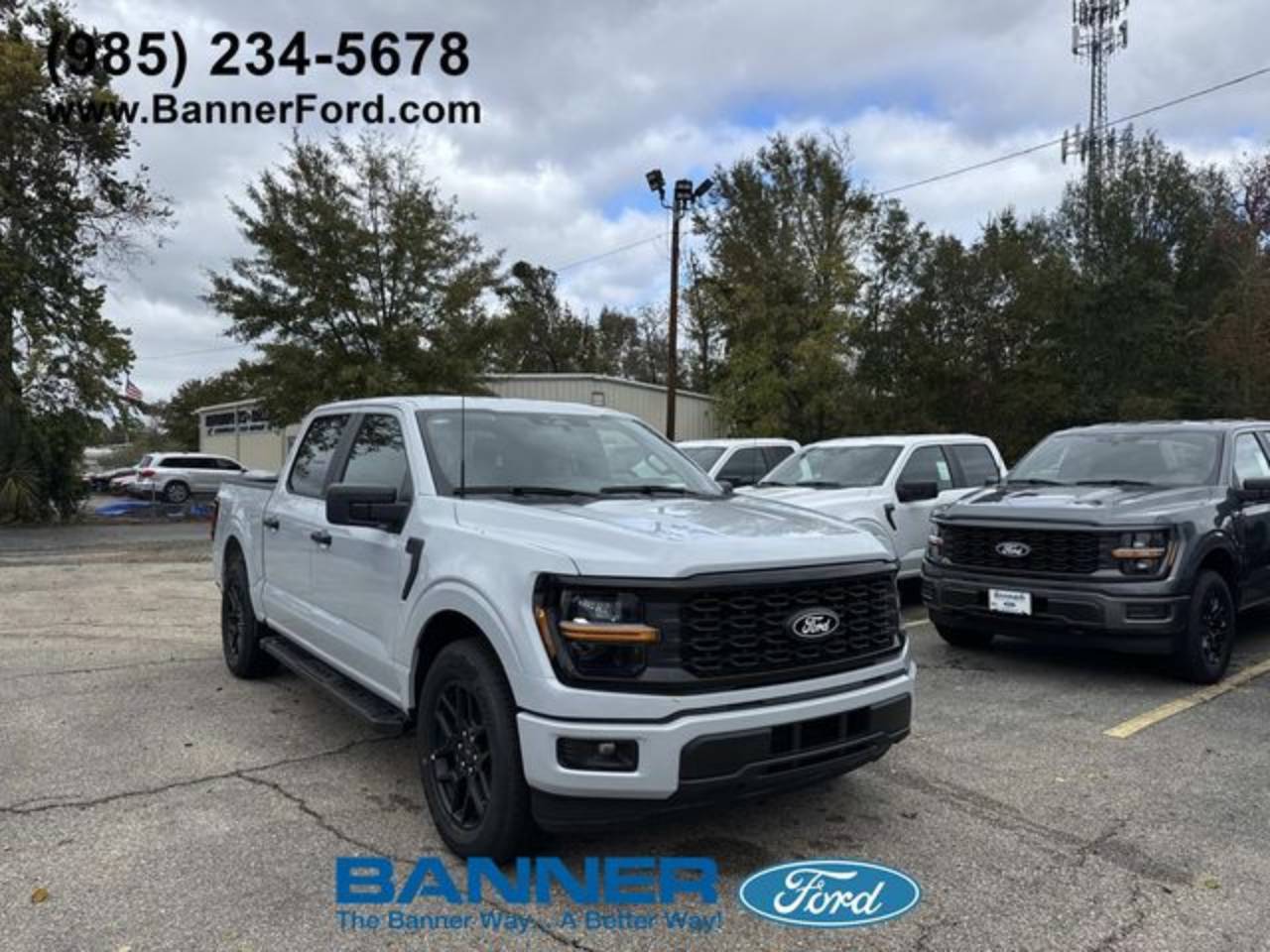 2025 Ford F-150 STX's photo