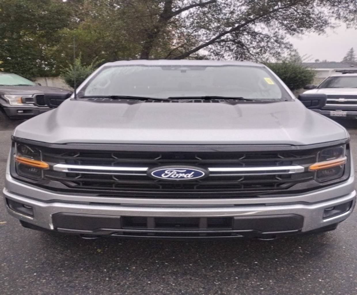 2024 Ford F-150 XLT's photo